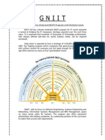 GNIIT From NIIT PDF