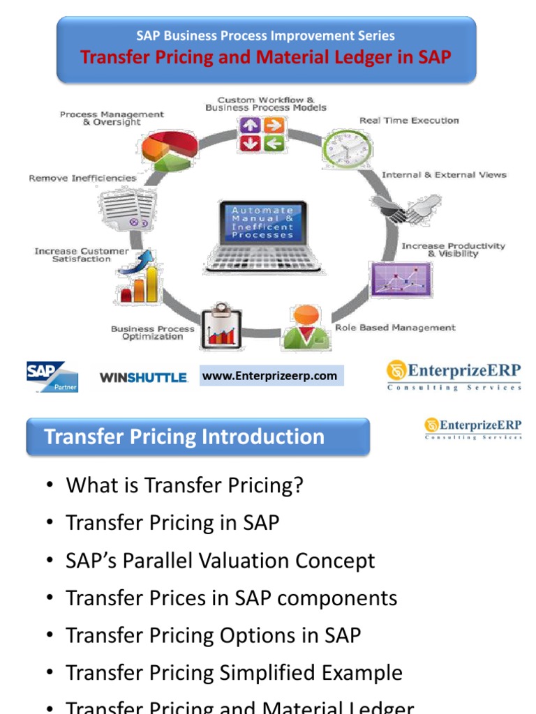 SAP Business Process Improvement Series Transfer Pricing and Material