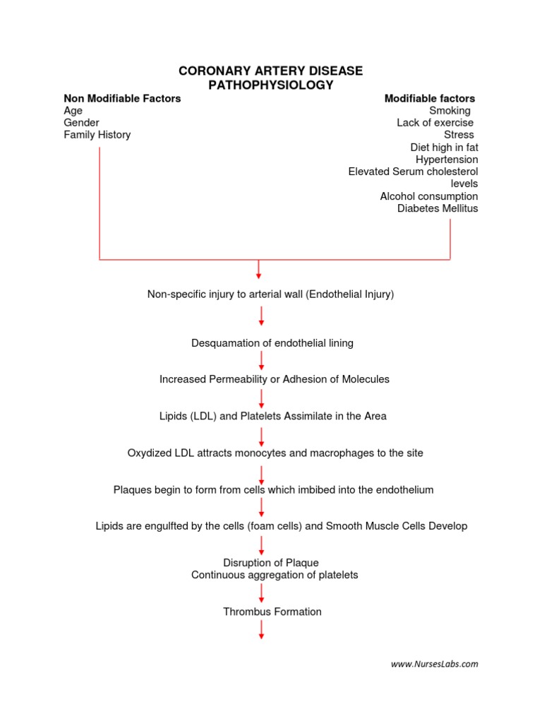 CAD Patho | PDF | Science & Mathematics