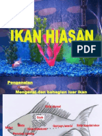 ikan hiasan 2003