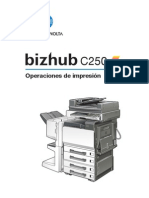c250 Print Operations 1-1-1 Es