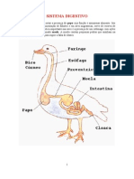 Fisiologia Das Aves 2