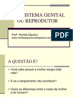 o Sistema Genital Ou Reprodutor