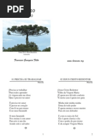 Francisco Grangeiro Filho - Folha Usada