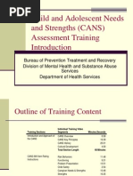 CASII Assessment for Youth Risk Levels | PDF | Child Abuse | Mental ...