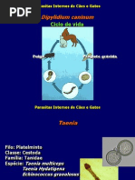 apresentação verminose Cães e Gatospart2OUTRO