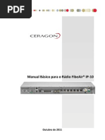 Manual Basico IP-10 1+0 Rev3 1