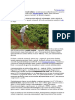Reforma Agrária Brasileira