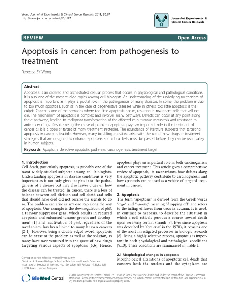 BCM 10 Apoptosis in Cancer | PDF | Bcl 2 | Apoptosis