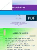 Digestive System: Prepared By: Misrai Farauk