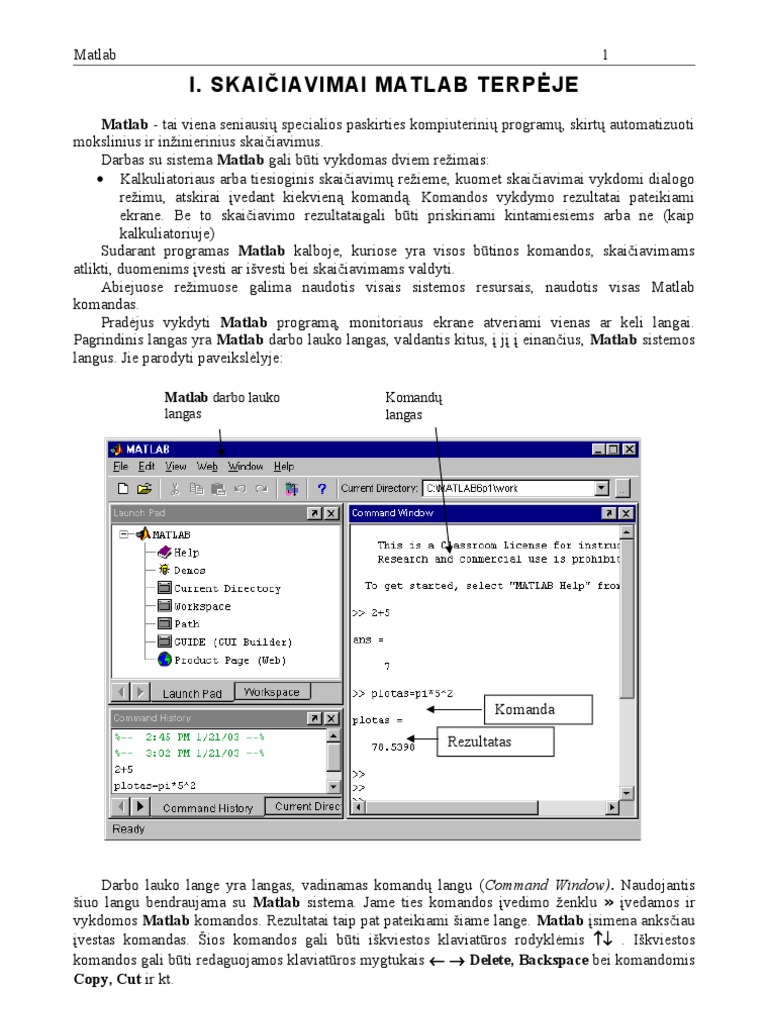 Matlab 1 Teorija | PDF