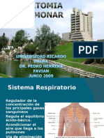 5.PULMONES JUNIO 2009