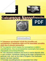 Calcareous Nannofossils