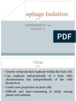 Bacteriophage Isolation