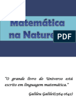A Matemática e A Natureza