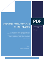 Erp Implementation Challenges