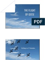 Flight of The Geese