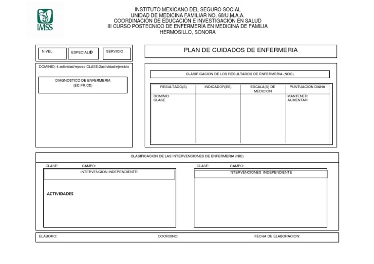Formato de Plan de Cuidados de Enfermería | PDF