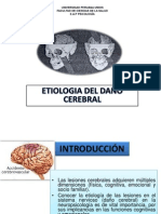 Etiologia de Daño Cerebral 2