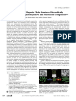 Anisotropic Nano Hybrids