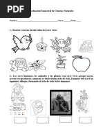 Evaluación Semestral de Ciencias Naturales 2012