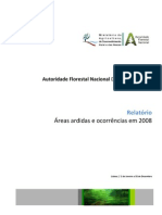 2009d Afn Ctgir Relatorio 2008