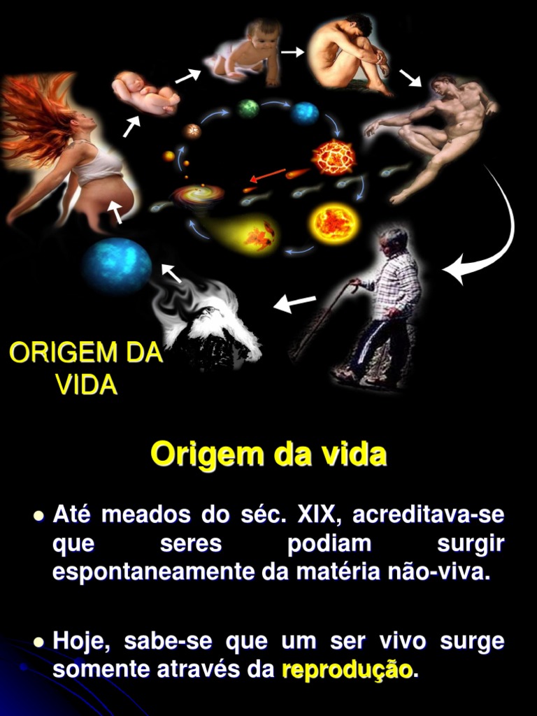 Aula 4 - A Origem Da Vida - Biogênese X Abiogênese - 22-02-13 | PDF ...