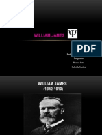 William James Dia Positiva