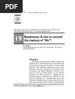 Download Biophotons_A Clue to Unravel the Mystery of Life by rpbajpai SN16473590 doc pdf