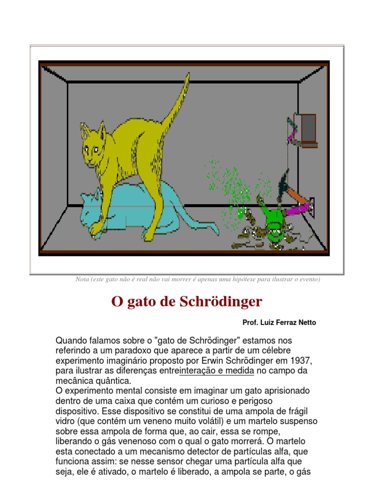 O que é o Gato de Schrödinger?