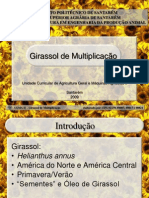 AGRICULTURA GERAL E MÁQUINAS AGRICOLAS II - Apresentação (Girassol de Multiplicação)