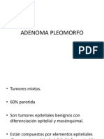 Adenoma pleomorfo y carcinoma mucoepidermoide de glándulas salivales