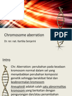 Chromosome Aberration