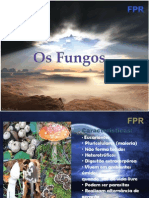 Biologia - Fungos