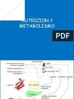 7. Nutricion