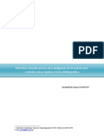 classificação linguistica.pdf