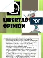 Libertad de Opinión