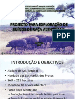 PROJECTOS AGRO-PECUÁRIOS - Apresentação (porco preto)