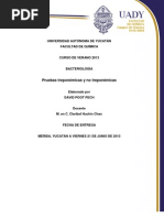 Download Pruebas treponmicas y no treponmicas by David Poot Pech SN164836627 doc pdf