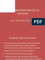 Ppt Neuroanatomi n 7