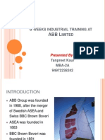 Finafinal project ppt ABB