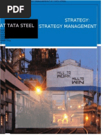 Download STRATEGY MANAGEMENT AT TATA STEEL  by Muhammad Nb SN164855698 doc pdf