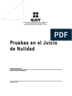 Pruebas Juicio Nulidad