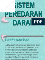 Sistem Peredaran Darah