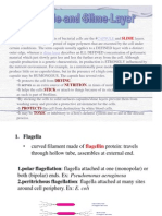 Capsule, Flagella, Pili, Endospores