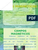 Campos Magnéticos