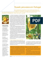 Producao Physalis Peruviana Em Portugal