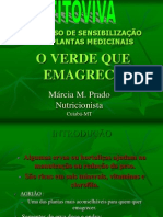 o Verde Que Emagrece