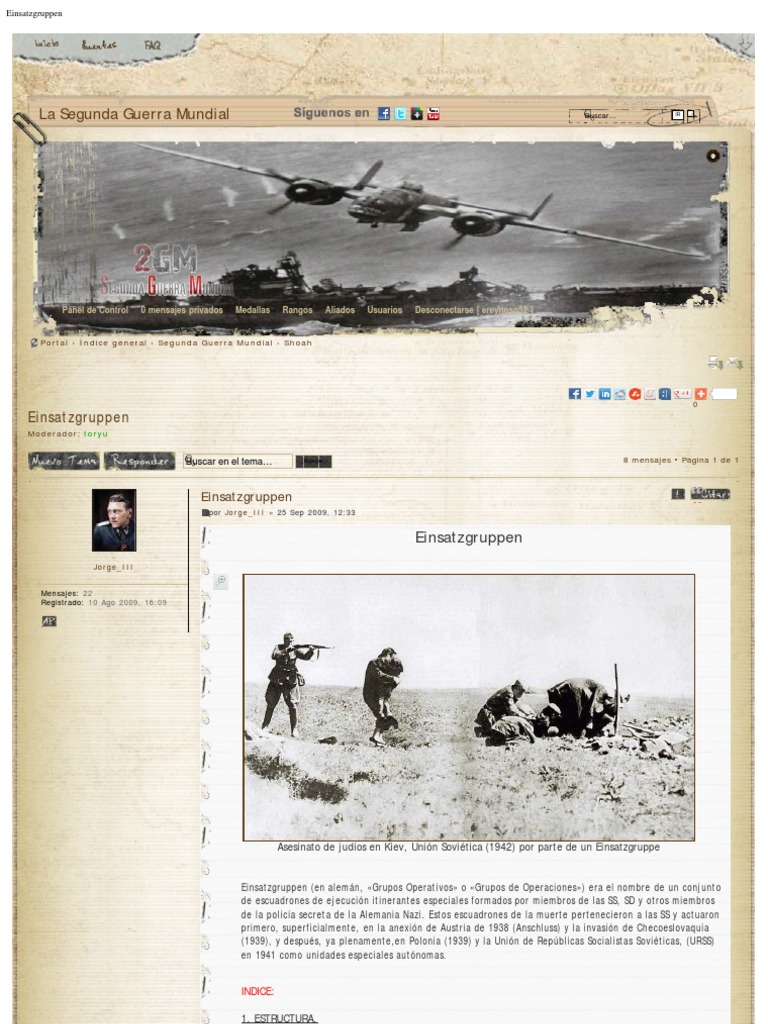 Einsatzgruppen | PDF | Heinrich Himmler | Schutzstaffel