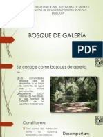 Bosques de Galería